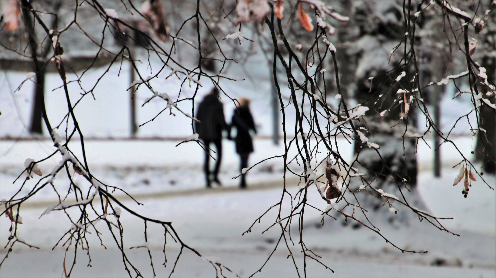 Kaksi hahmoa kävelyllä lumisessa maisemassa